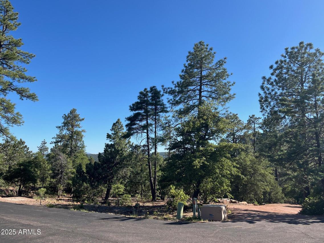 4555 N Moonglow Ln. #112, Pine, AZ 85544