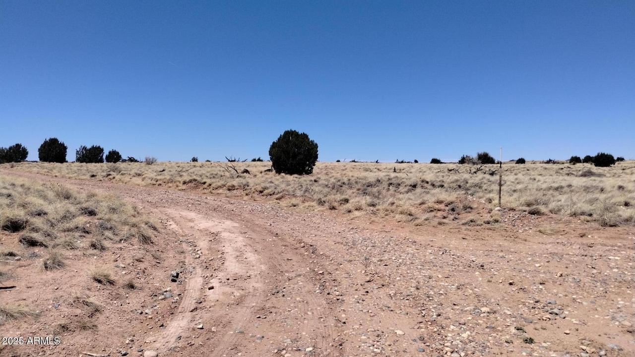 3716 Thomas Rd. #205, Heber, AZ 85928