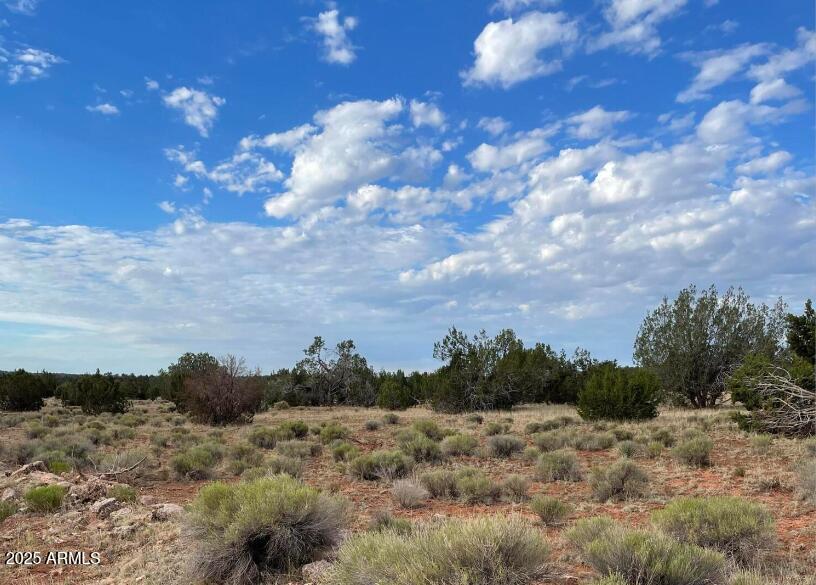 000 Via De Oro #1332, Seligman, AZ 86337