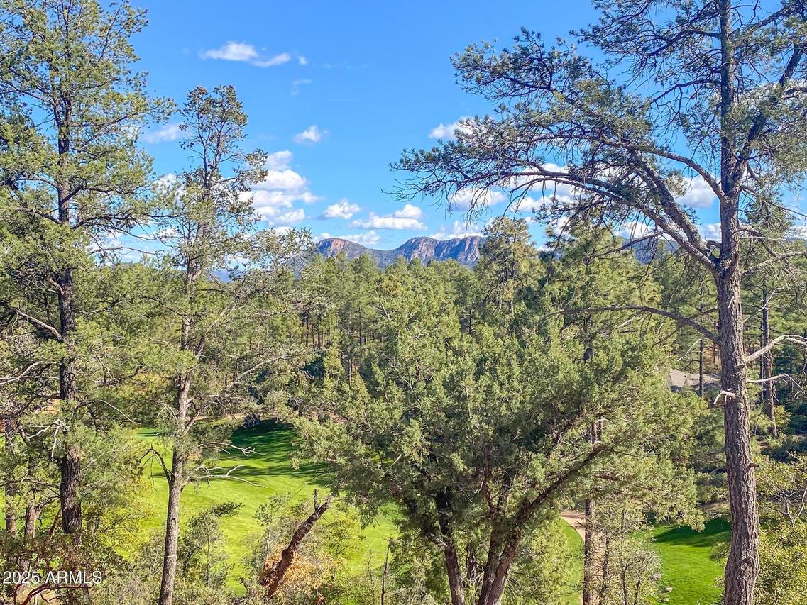 509 N Grapevine Dr. #436, Payson, AZ 85541