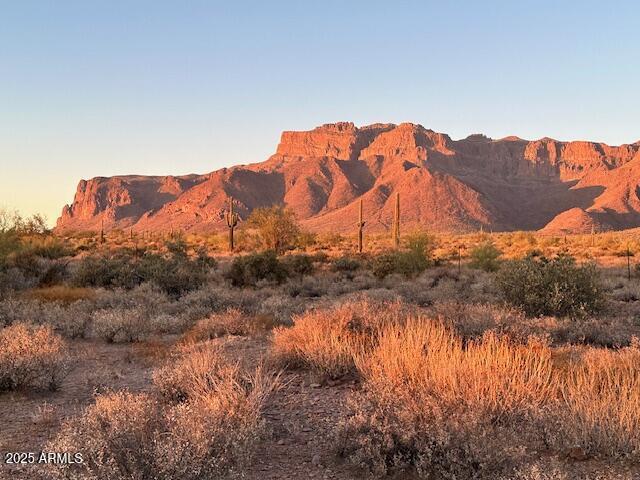 9300 E Bunny Ear Ln  Lot 4-c Ln. #Lot 4-C, Gold Canyon, AZ 85118