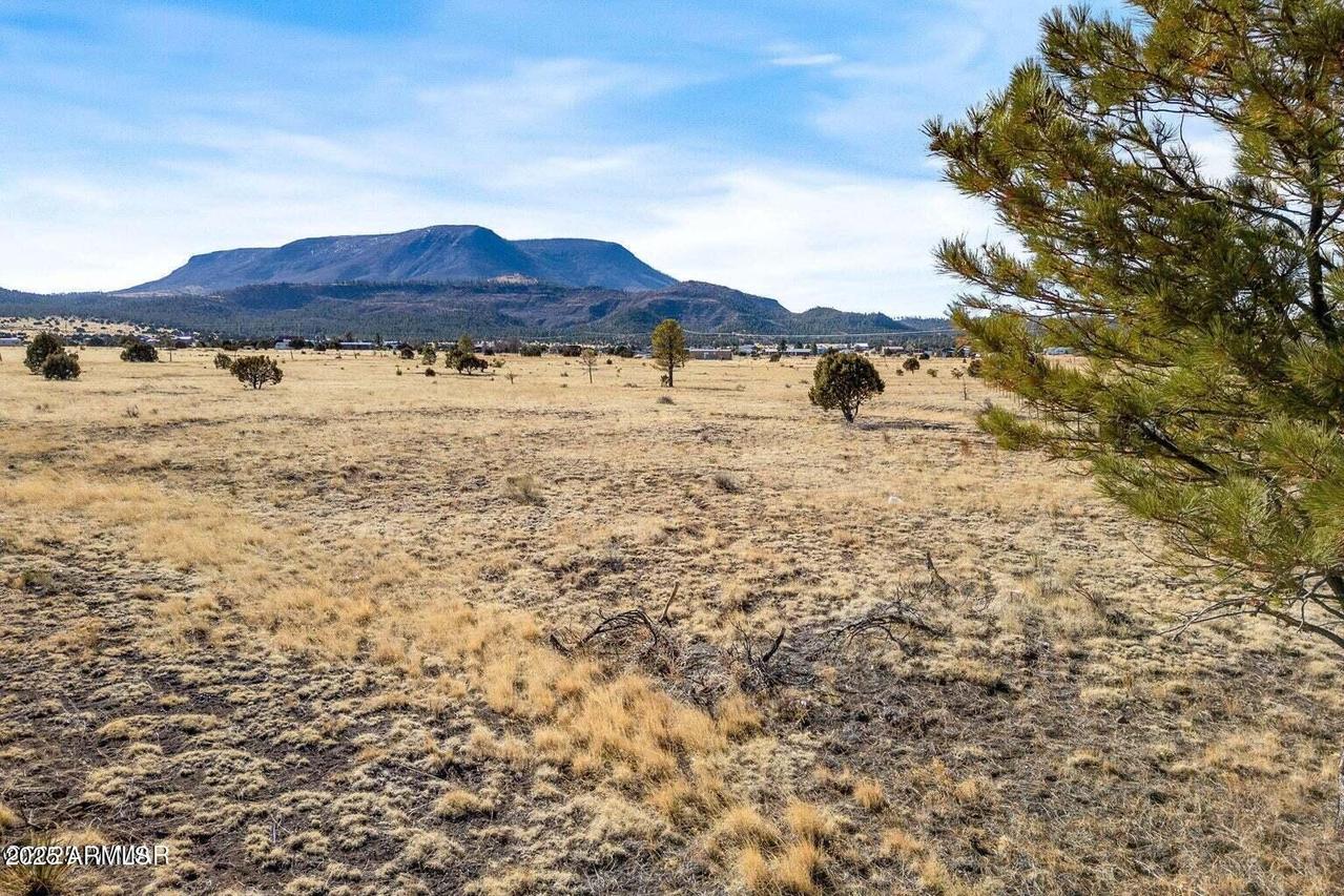21 N County Road N2002 #26, Nutrioso, AZ 85932