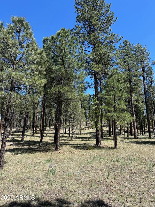 2184 N Highway 180 Crossroads #101-46-020N, Alpine, AZ 85920