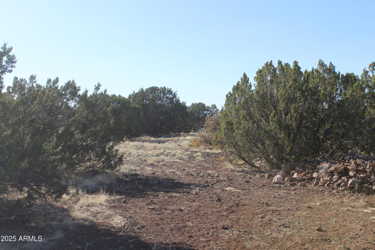 8588 Kaibab Ln. #'-', Show Low, AZ 85901