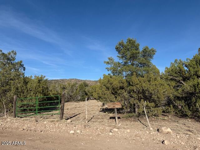 395xx Kokopelli Tr. #732, Seligman, AZ 86337