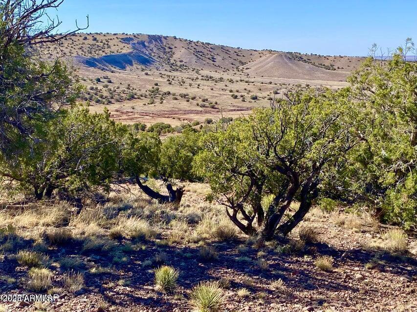 TBD Co Rd 5062 Lot 1 3.53 Acres #-, Concho, AZ 85924