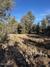 Homes Just Sold in Seligman: July 29th to August 4th