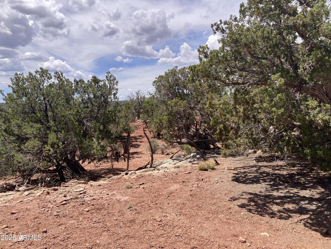 9979 Texas Ln. #16, White Mountain Lake, AZ 85912