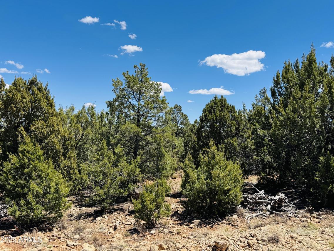 3585 Meadow Wood Dr. #125, Happy Jack, AZ 86024