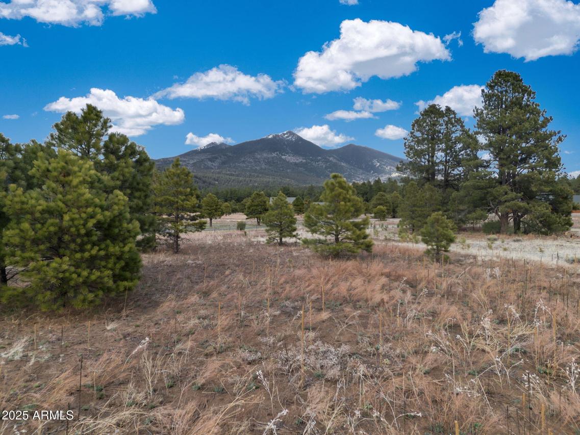 9025 N Snowbowl Ranch Rd. #5, Flagstaff, AZ 86001