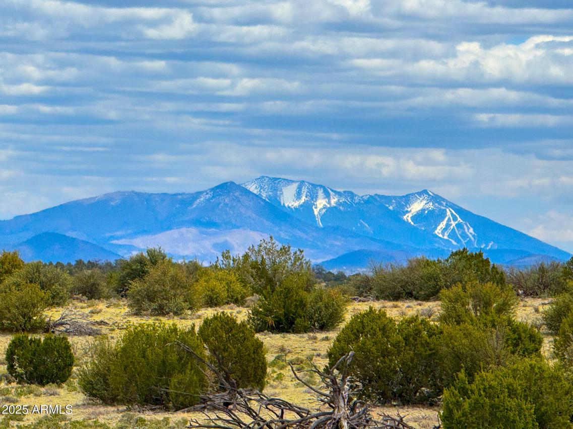 9984 W Trapper Way #1007, Williams, AZ 86046
