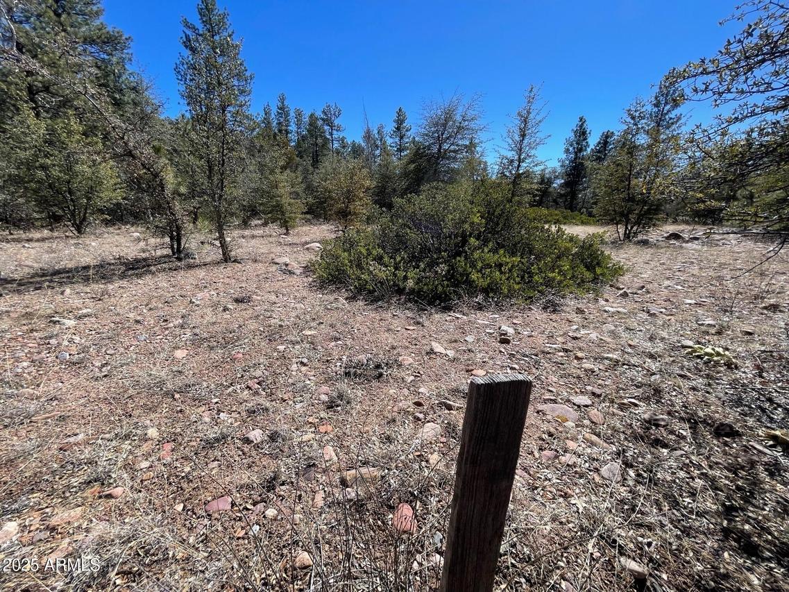 194 S Freds Rd. #-, Young, AZ 85554