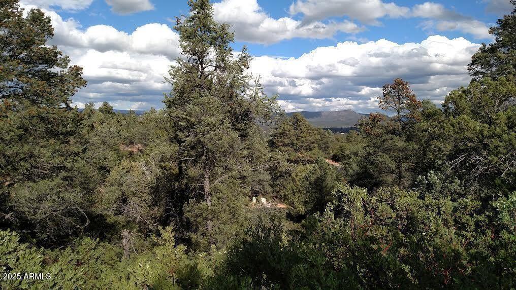 2311 E Feather Plume Ln. #631, Payson, AZ 85541