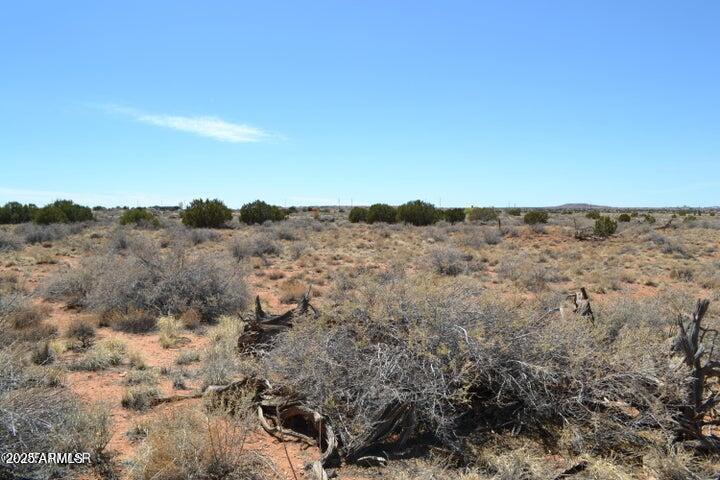 Lot 020G E 24th N Street #020G, Snowflake, AZ 85937