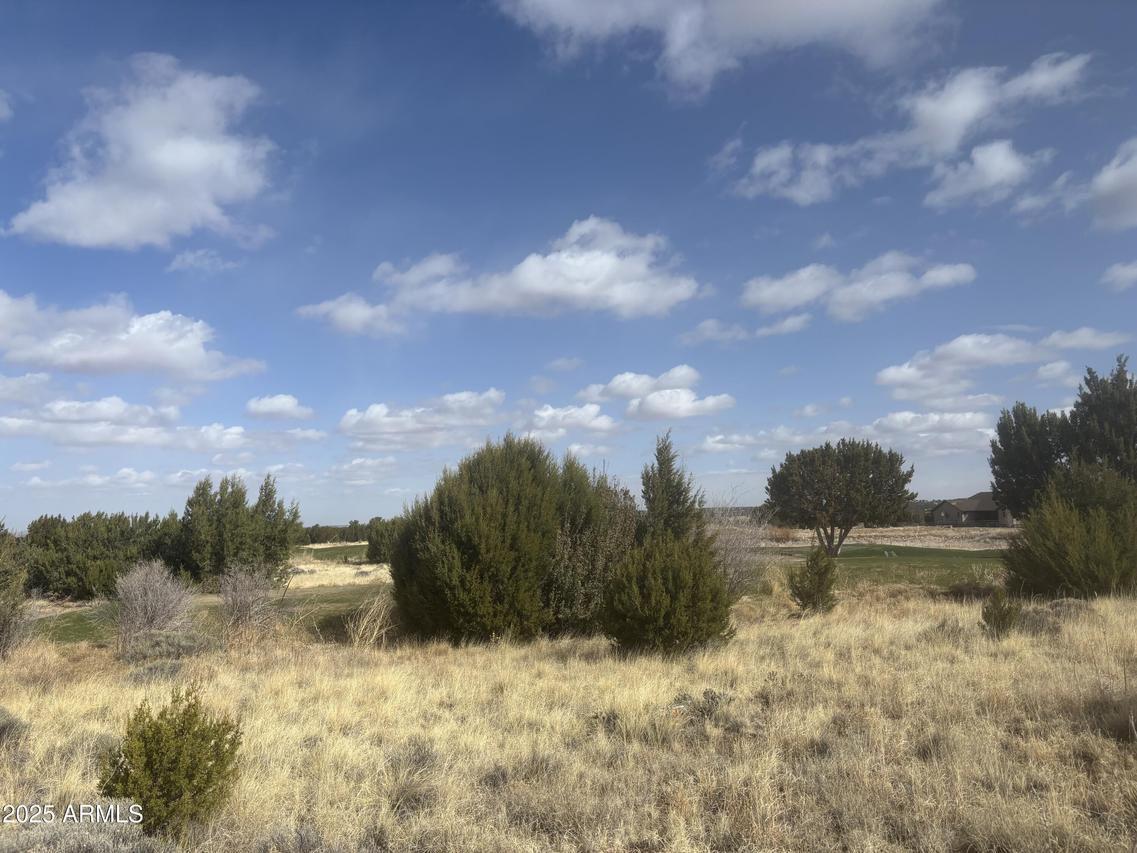 1956 Creekside Cir. #38, Show Low, AZ 85901