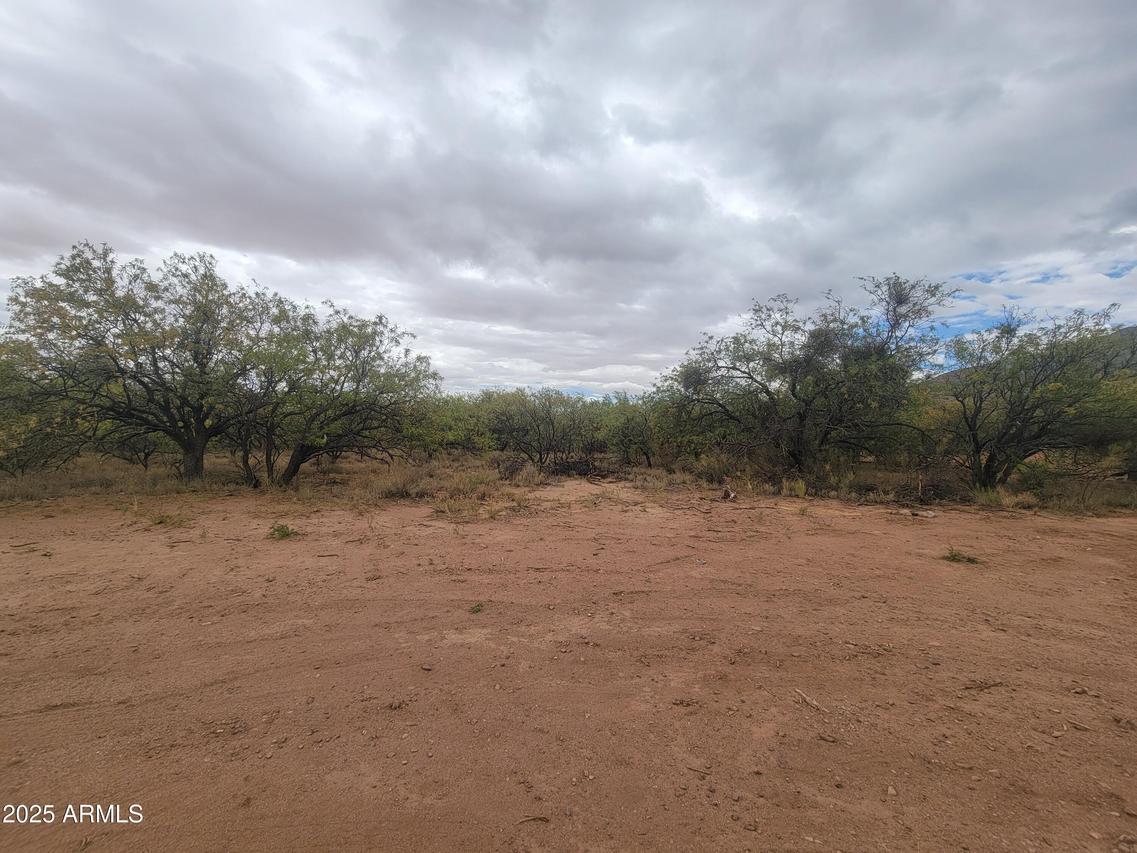 LOT E E Anika Way #E, Hereford, AZ 85615
