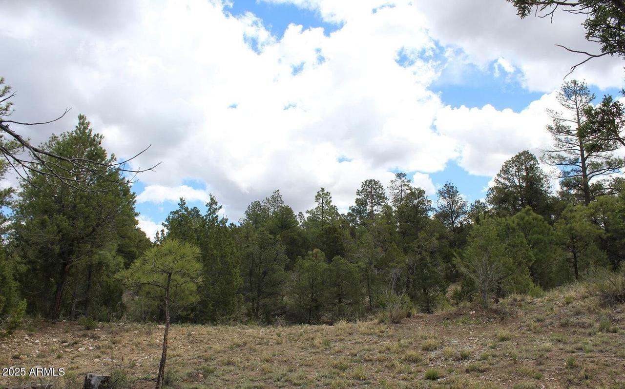 3339 Sawmill Ridge Loop #97, Heber, AZ 85928
