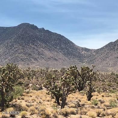 XXXX N Mountain Ave. #8, Wikieup, AZ 85360