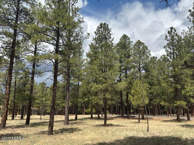 Lot 1 Hattie Greene #1, Flagstaff, AZ 86001