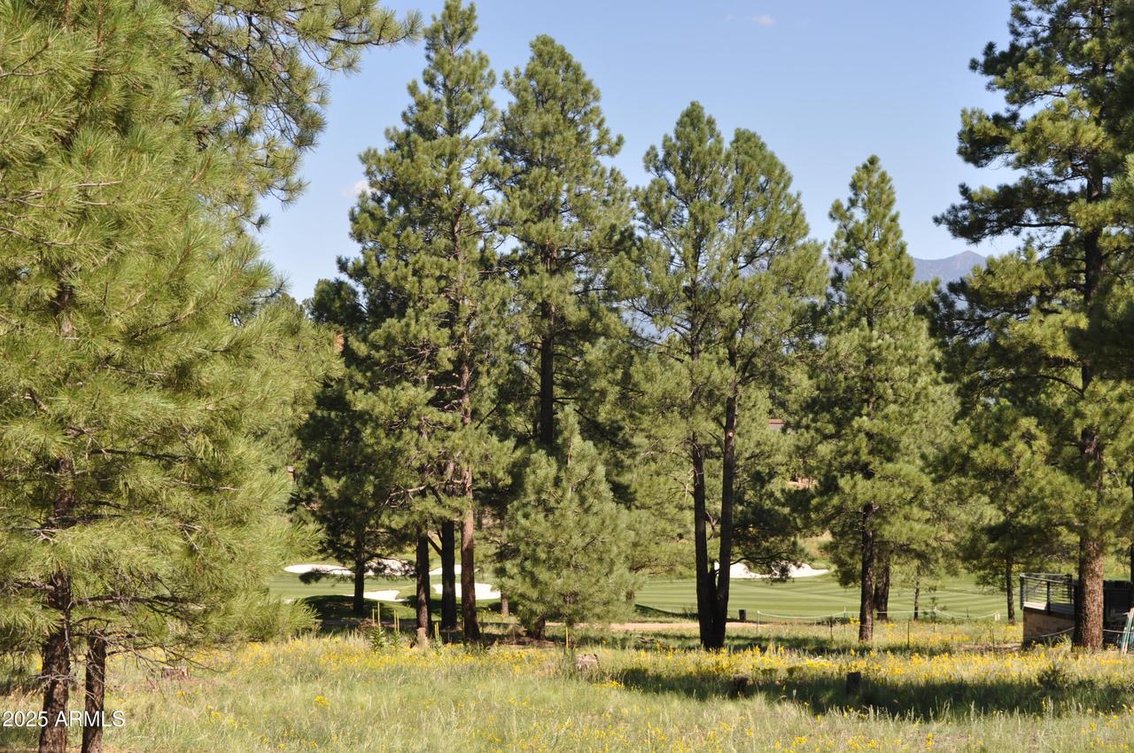 1600 E Castle Hills Dr. #4, Flagstaff, AZ 86005