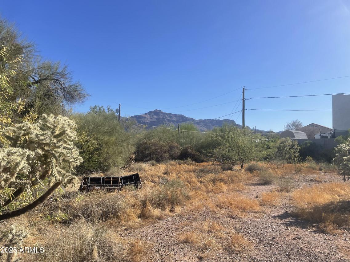 6105 S Alameda Rd. #169, Gold Canyon, AZ 85118