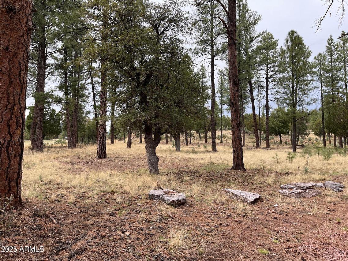 TBD N State Route 87 #-, Pine, AZ 85544