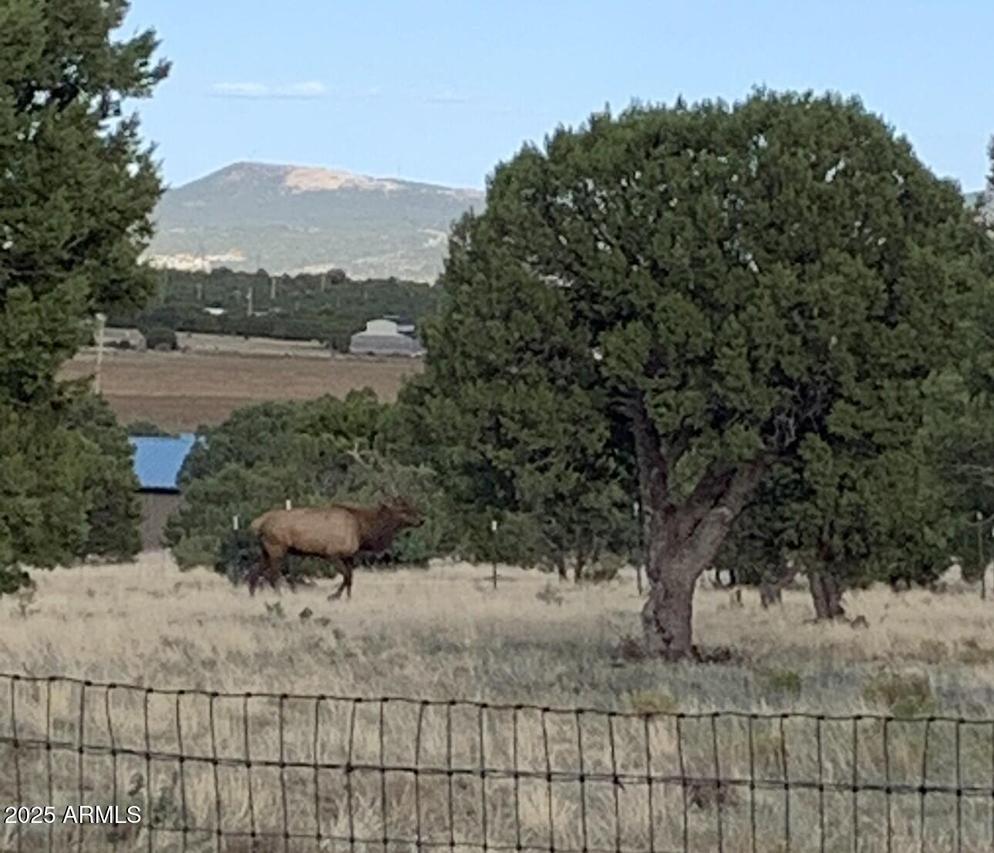 842 Vernon County Rd. #-, Vernon, AZ 85940