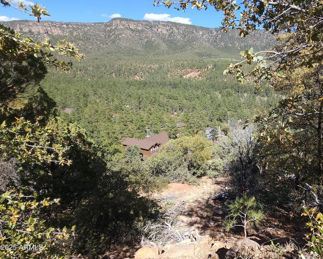 5059 N Hilltop Dr. #147, Pine, AZ 85544
