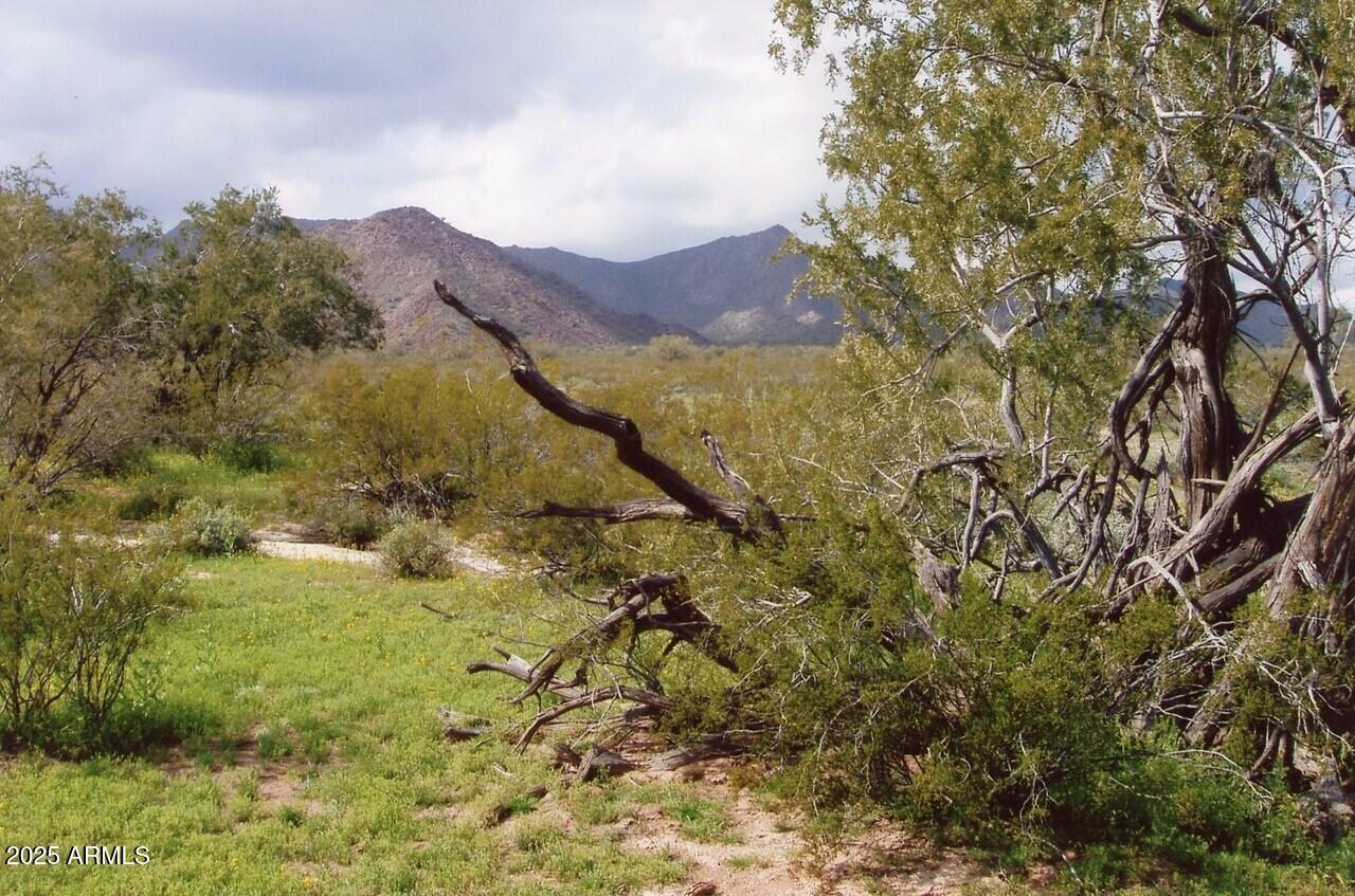 Vekol Rd. #-, Maricopa, AZ 85139