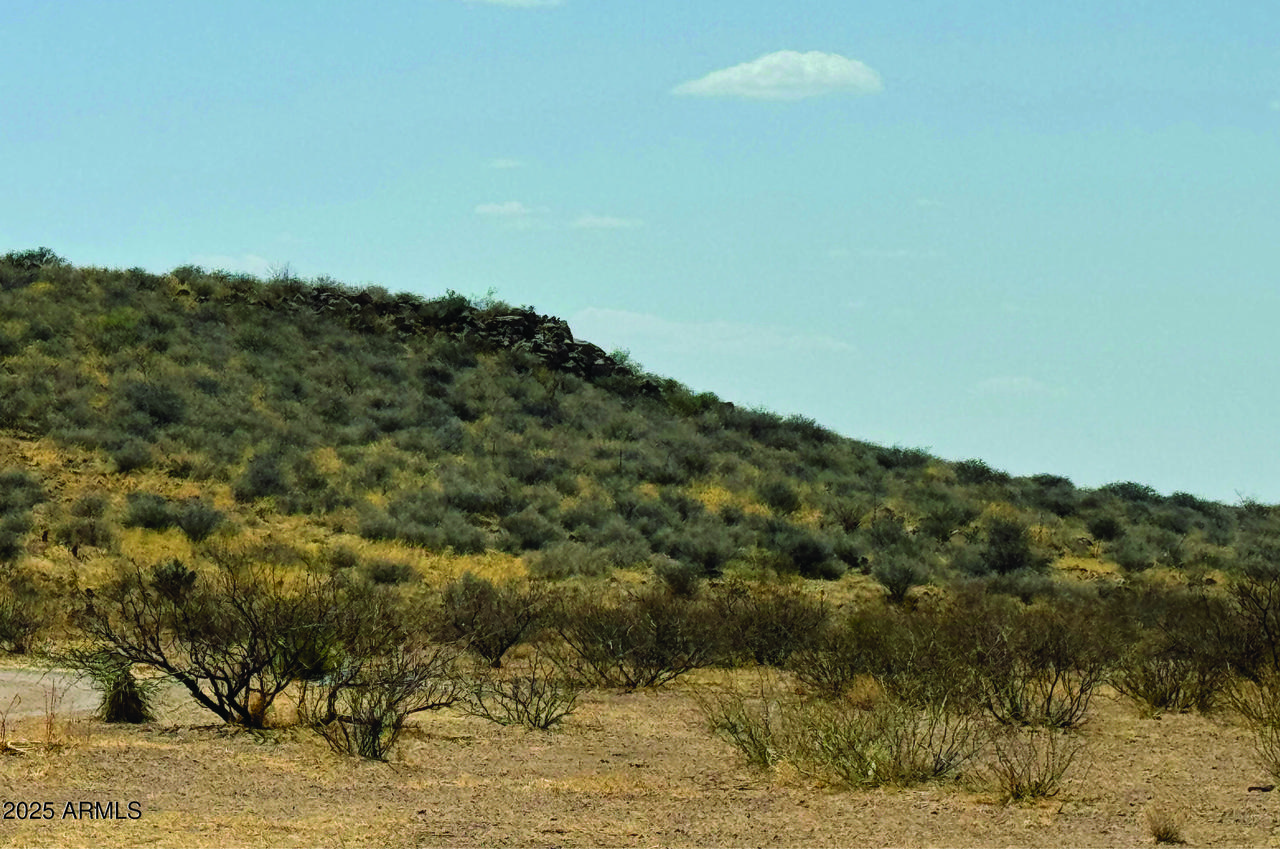 TBD S Solar Run 39 Acres #-, Willcox, AZ 85643