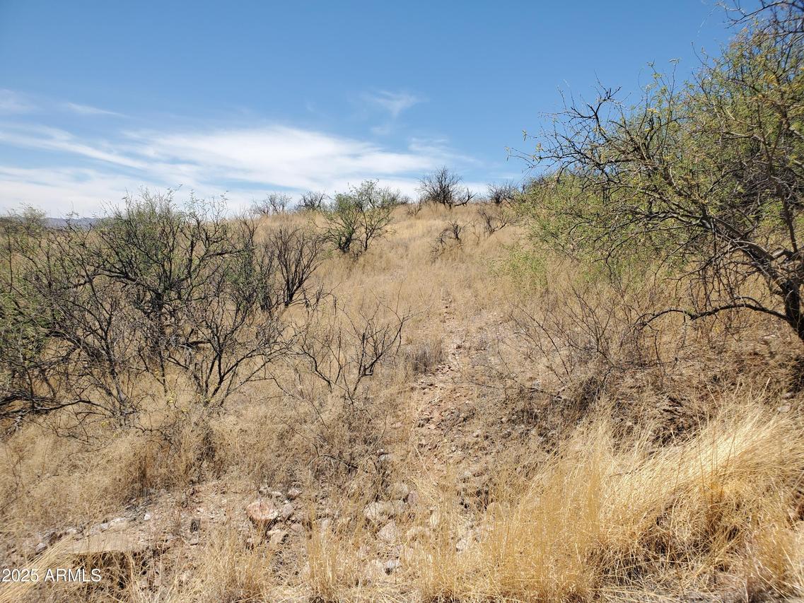 501 Camino Ramanote #19, Rio Rico, AZ 85648