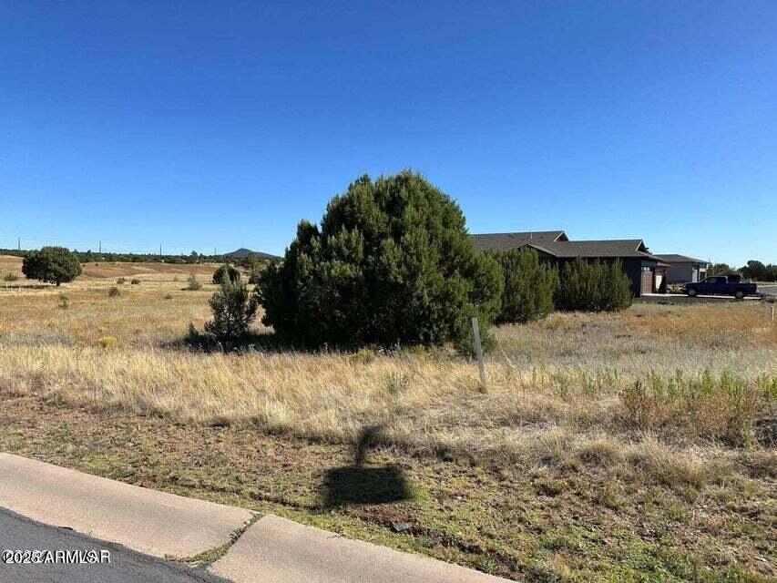 1161 S Lorenzo Sitgreaves Dr. #84, Show Low, AZ 85901