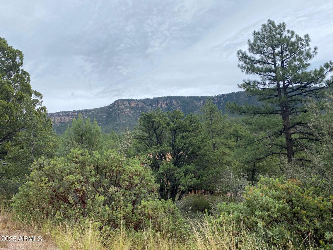 186 N Trails End Dr., Pine, AZ 85544