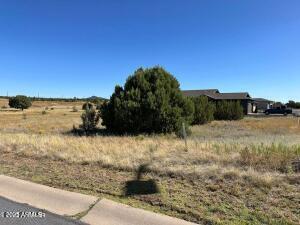 1001 S Ridgeway Pl. #111, Show Low, AZ 85901