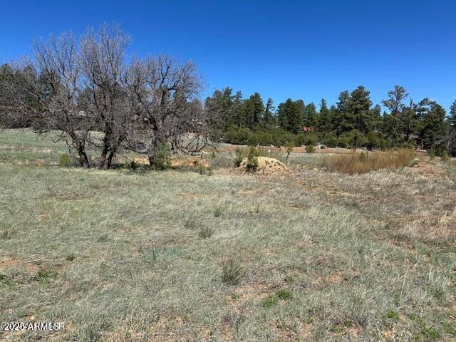1301 S Lakeside Tr. #33, Show Low, AZ 85901