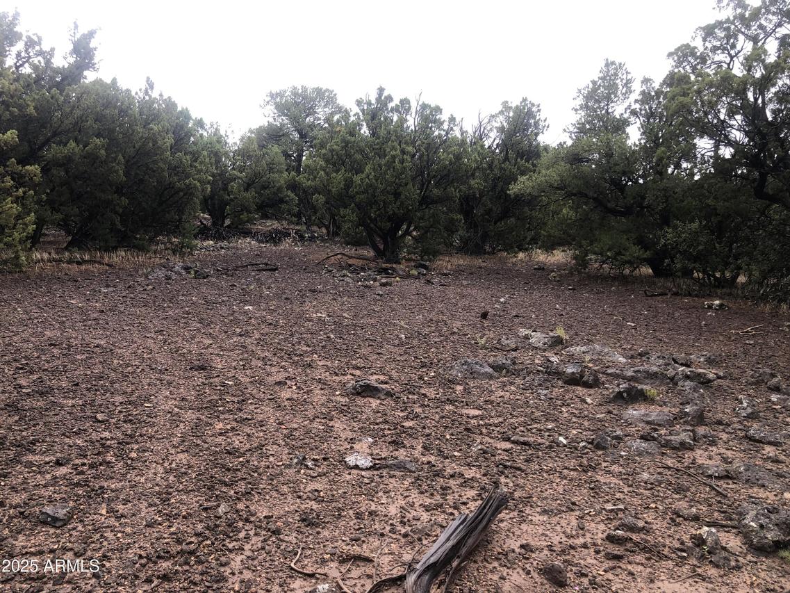5X N 8333 Rd. #001, Concho, AZ 85924
