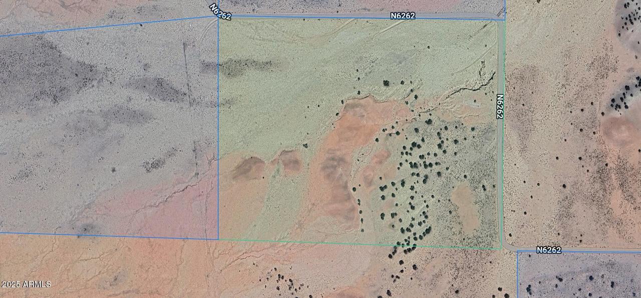 TBD 39 Acres Woodland Valley Ranch #62, St Johns, AZ 85936