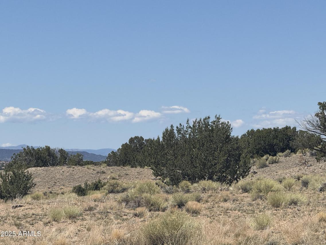 Lot 752 Woodland Valley Ranch #752, St Johns, AZ 85936