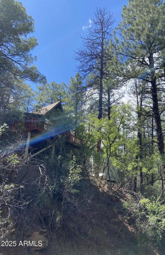 3994 N Mohawk St., Pine, AZ 85544
