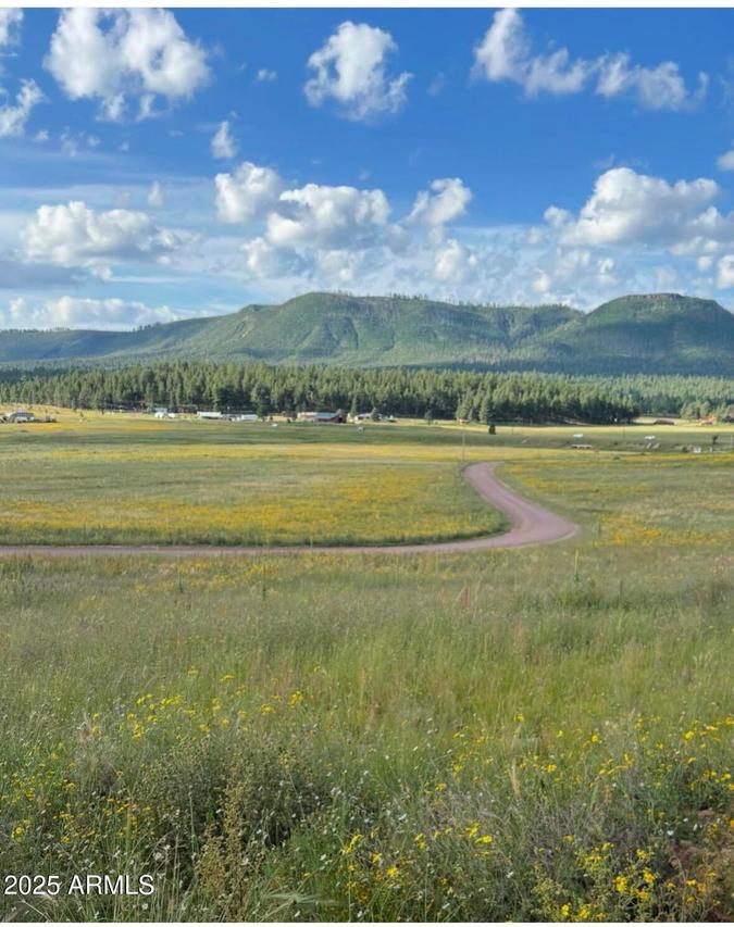 Lot 32 The Ranch At Alpine #32, Alpine, AZ 85920