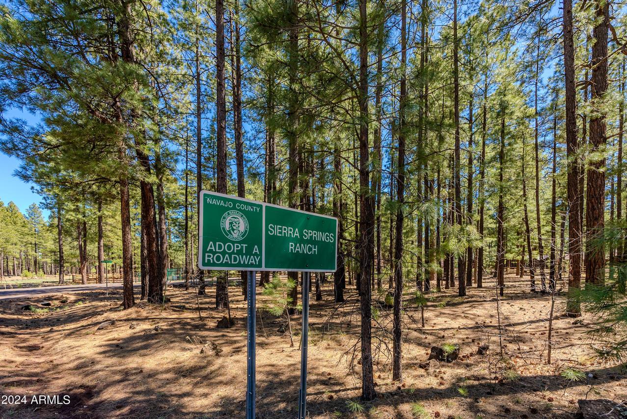 4583 Sky Hi Rd. #-, Pinetop, AZ 85935