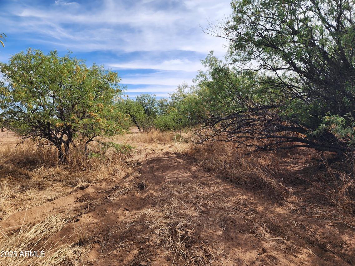 712 lot A N Schrader Rd. #-, Sierra Vista, AZ 85635