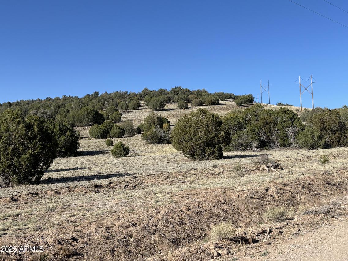 N Parcel #301-10-230-1557 #1557, Seligman, AZ 86337