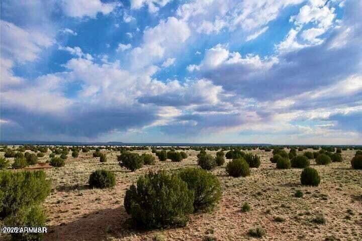 River Meadows Ranch Lot 213 #213, Concho, AZ 85924