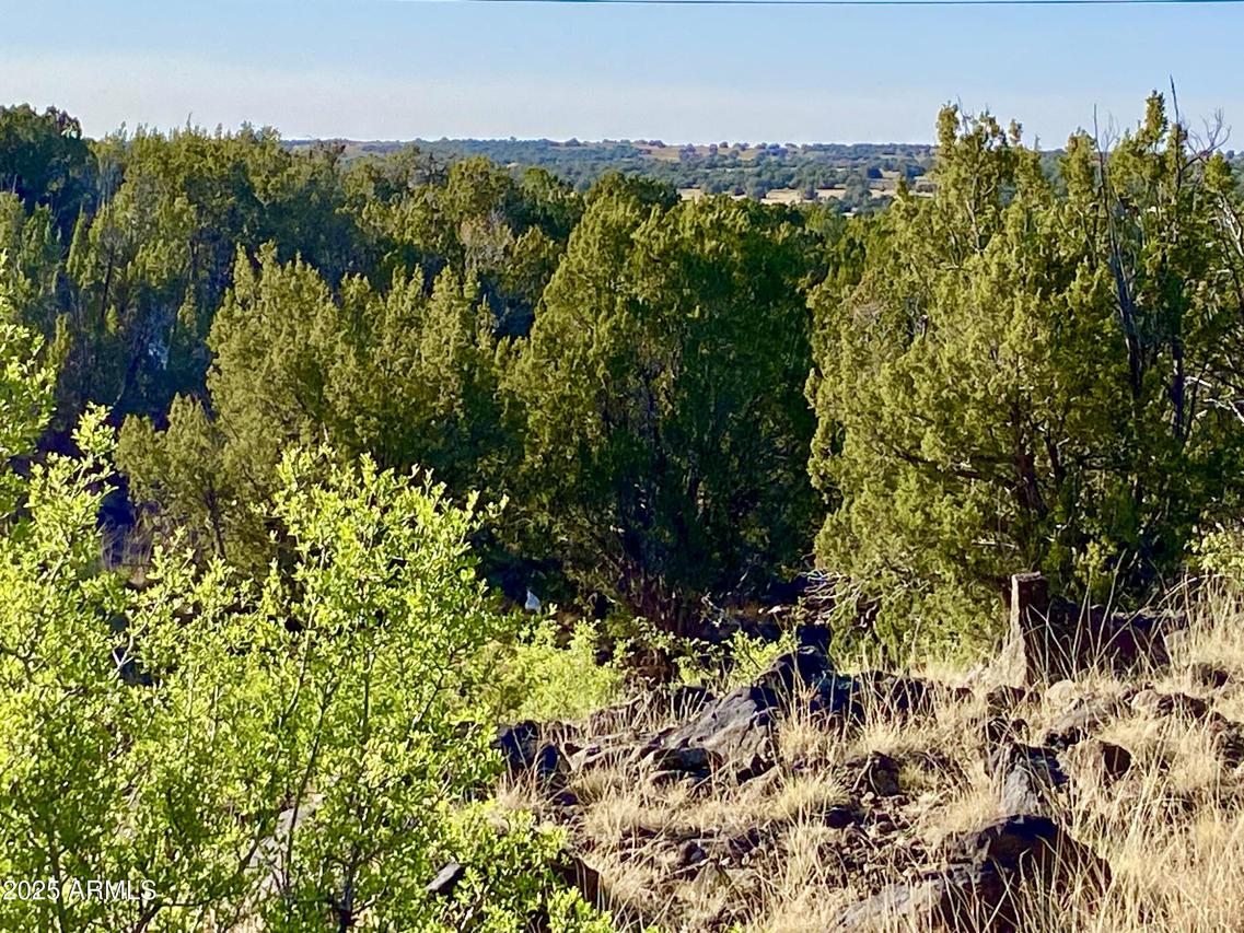 1528 Falcon Rd Lot A 10.33 Acres #-, Show Low, AZ 85901