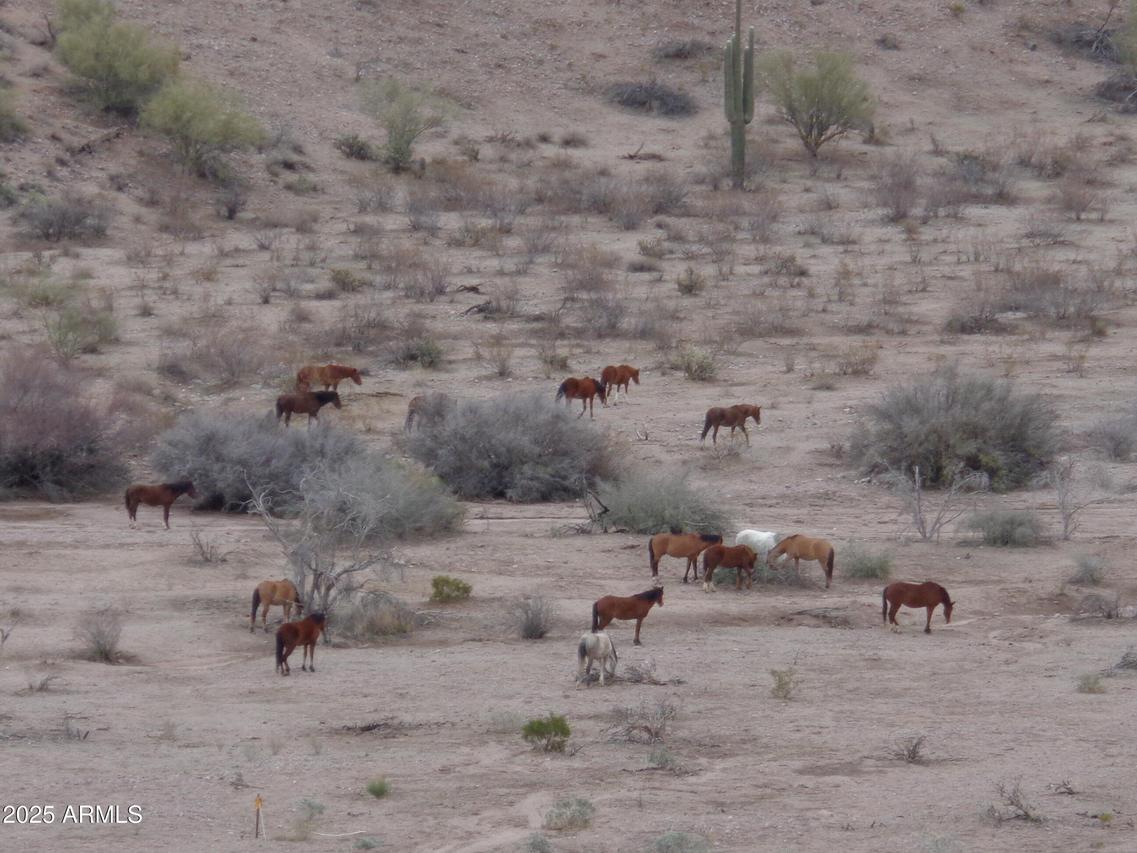 Lot 13-F E Overdrive Rd. #13-F, Fort Mcdowell, AZ 85264