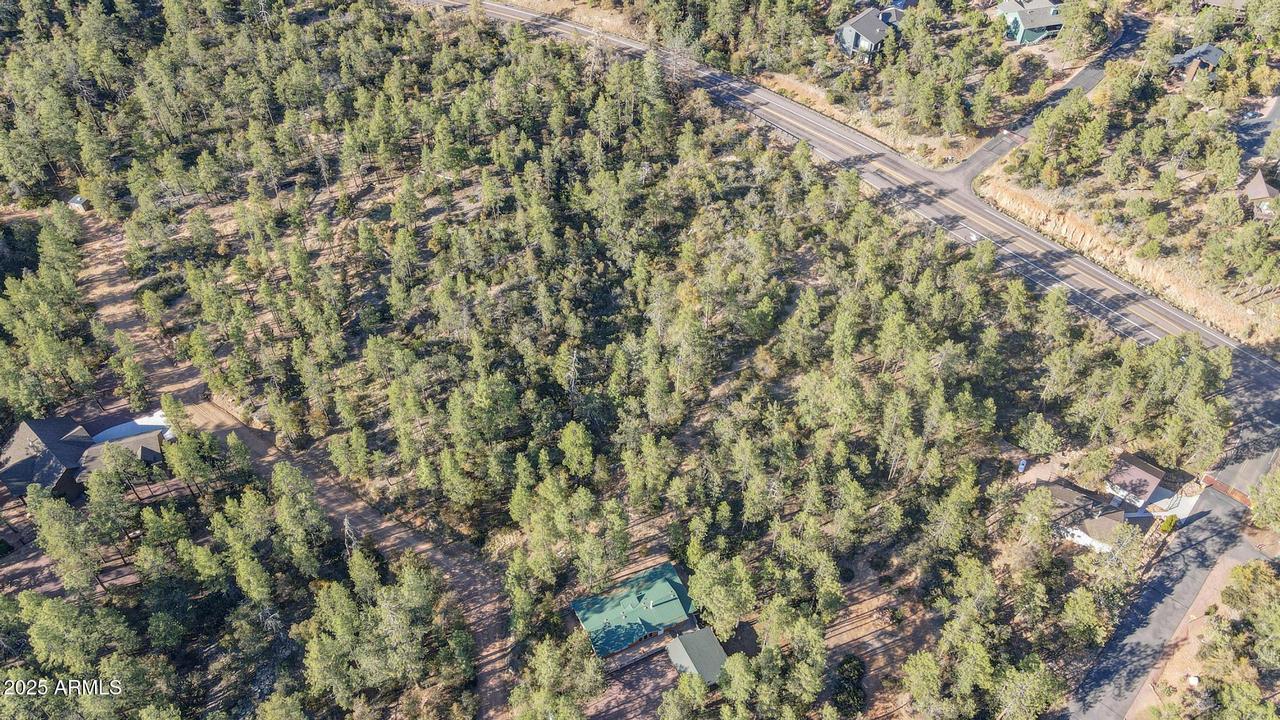 Lot 5 N Pine Hollow Tr. #-, Pine, AZ 85544