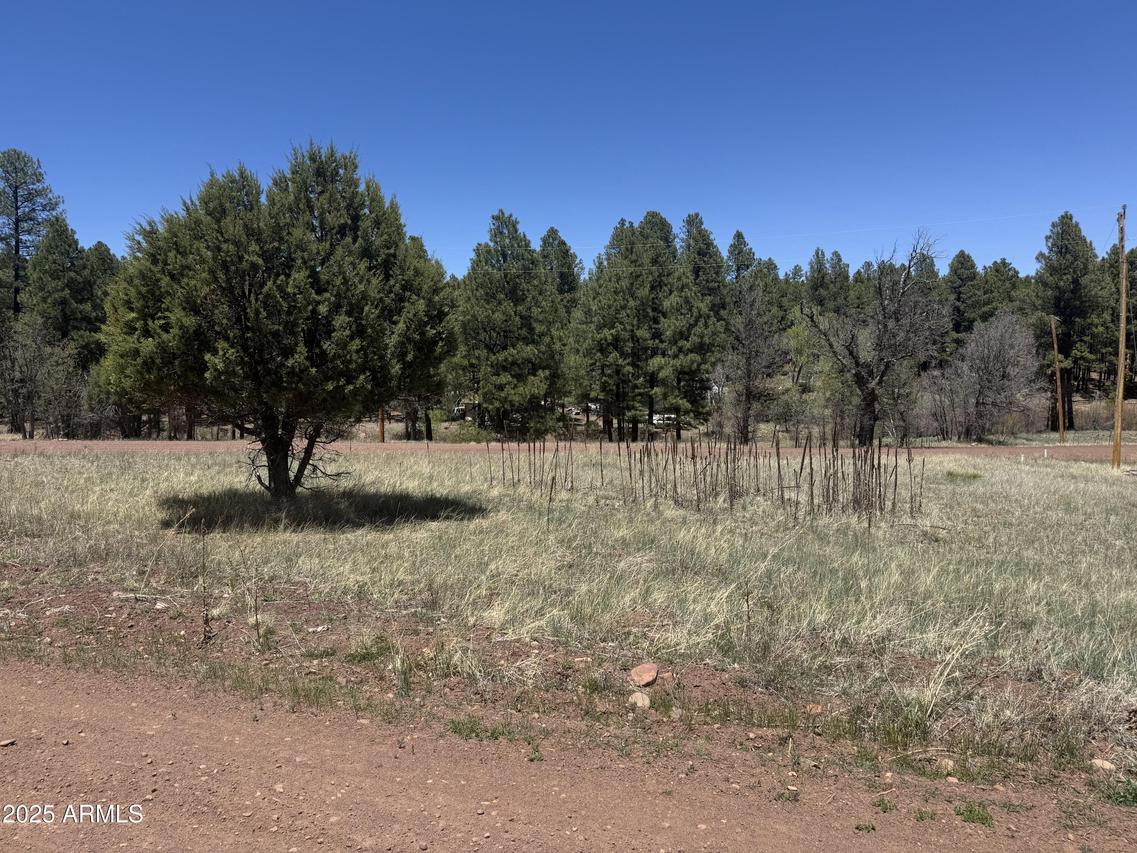 527 Summit Dr. #196, Pinedale, AZ 85934