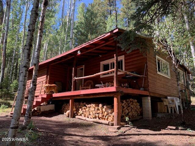 8 County Road 1006, Greer, AZ 85927
