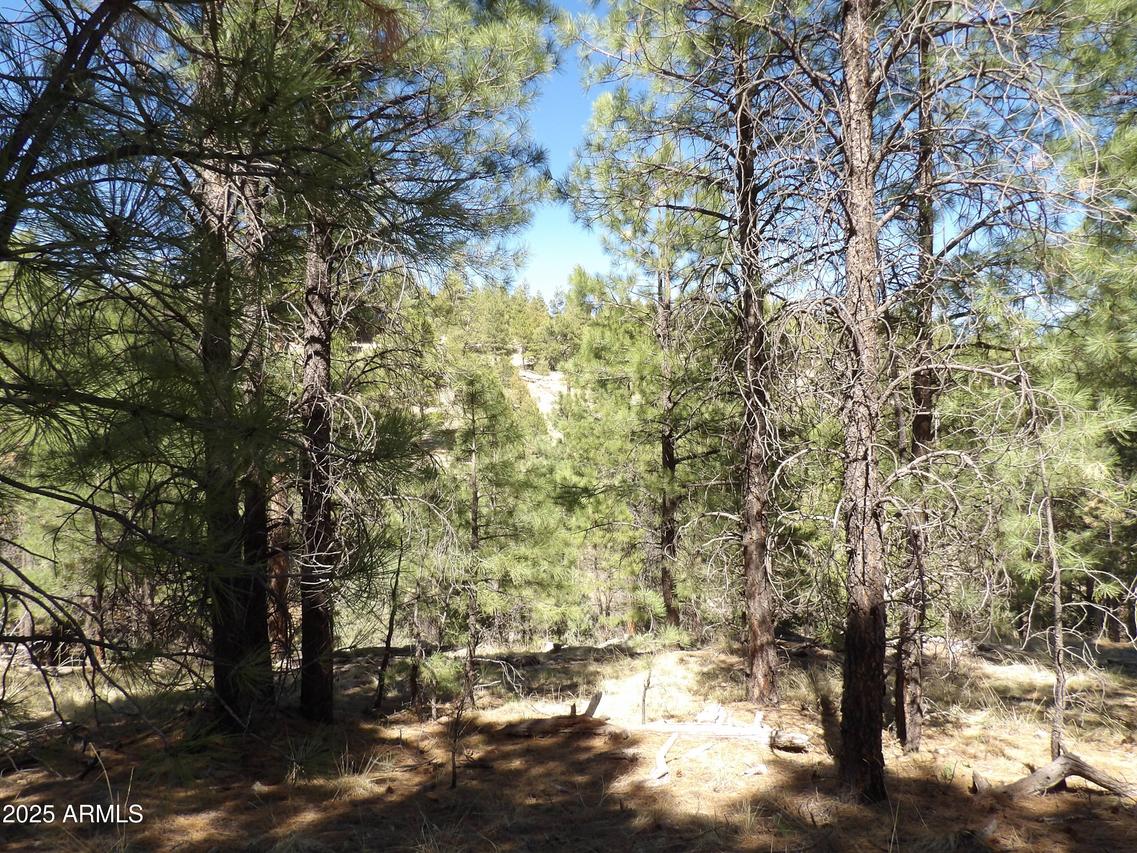 1601 Moqui Dr. #77, Happy Jack, AZ 86024